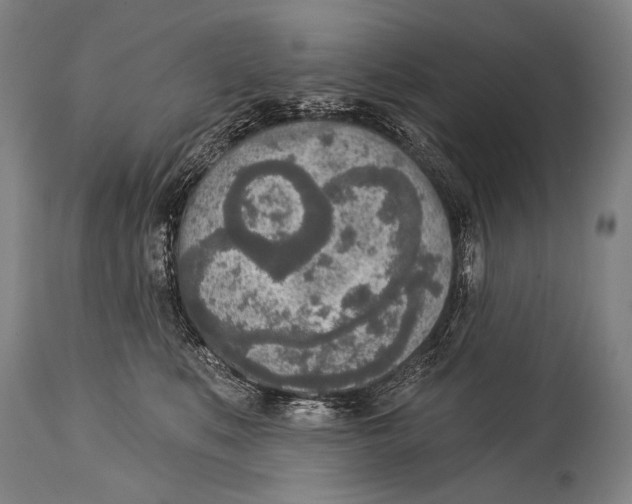 X0000115070519200911171133