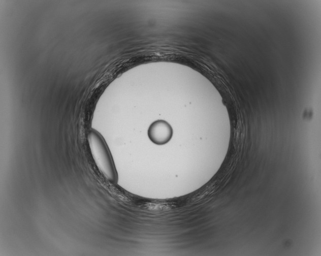 X0000115070520200911171133