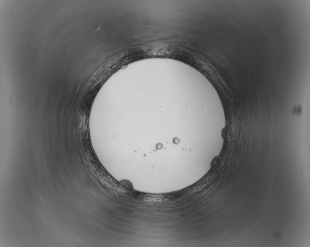 X0000115070521200911171133