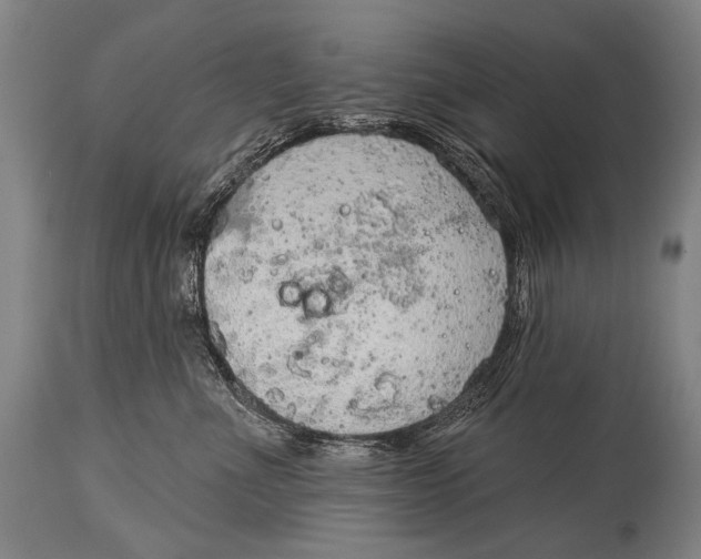 X0000115070523200911171133