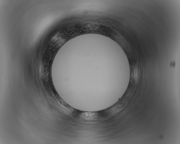 X0000115070526200911171133