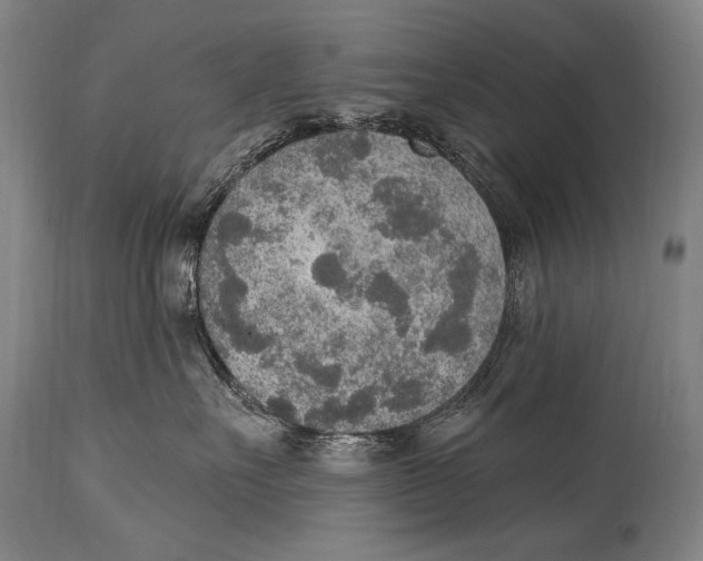 X0000115070527200911171133