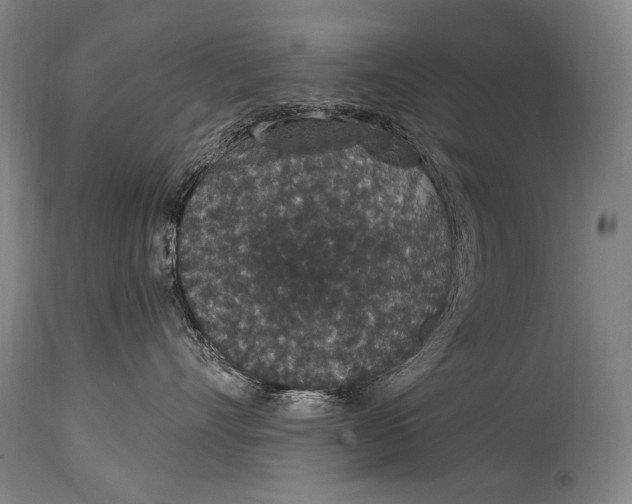 X0000115070528200911171133
