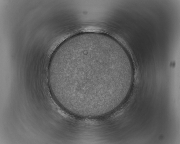 X0000115070529200911171132
