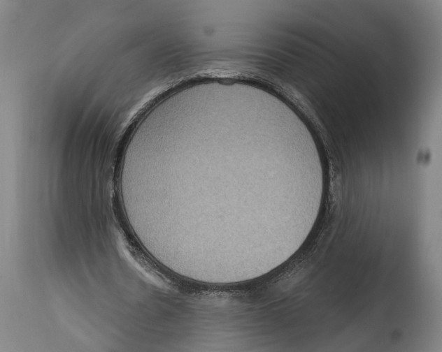 X0000115070530200911171132