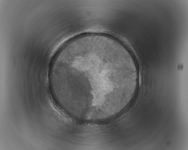 X0000115070531200911171132