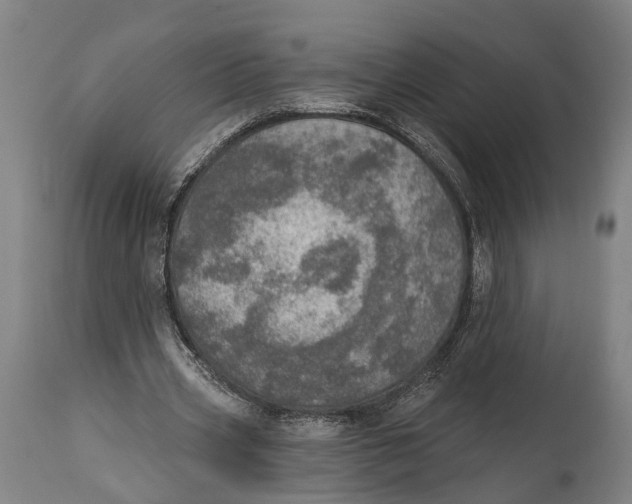 X0000115070533200911171132