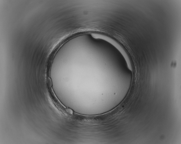 X0000115070534200911171132