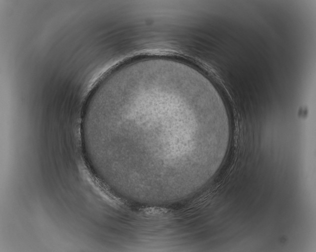 X0000115070535200911171132