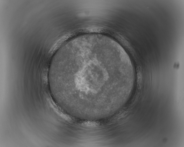 X0000115070537200911171132