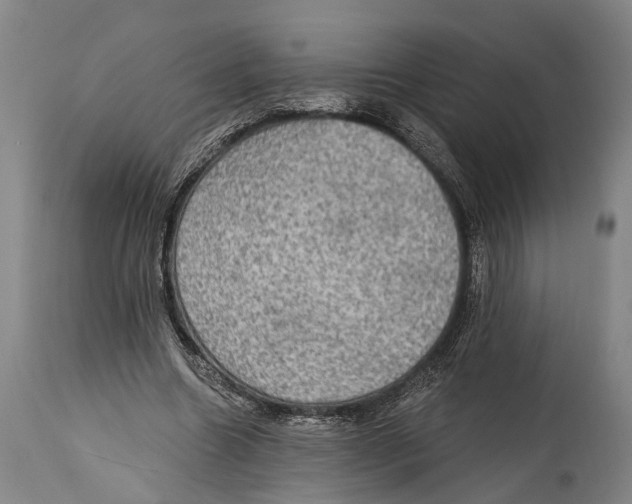 X0000115070538200911171132