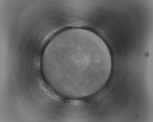 X0000115070539200911171132