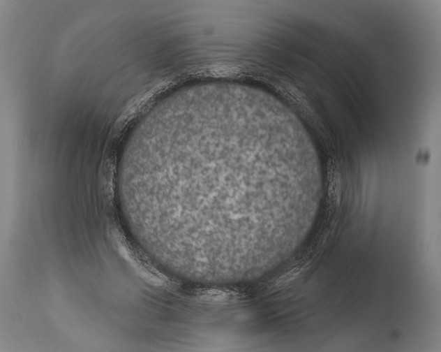 X0000115070542200911171132