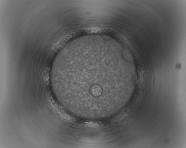 X0000115070545200911171132