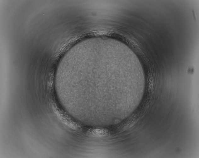 X0000115070546200911171132