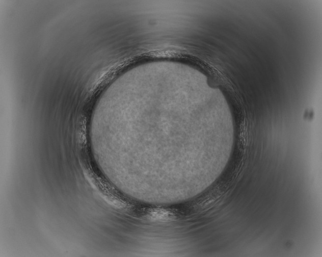 X0000115070547200911171132