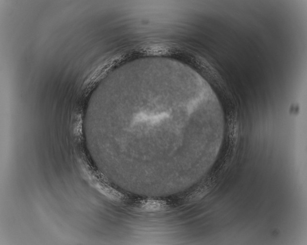 X0000115070549200911171132