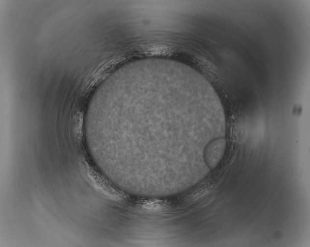 X0000115070550200911171132