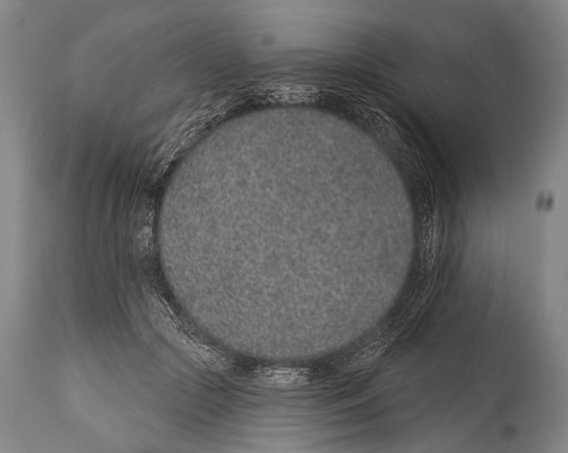 X0000115070553200911171132