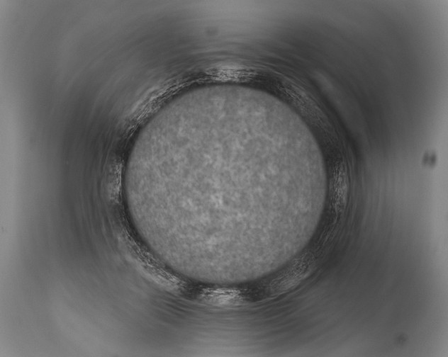 X0000115070554200911171132