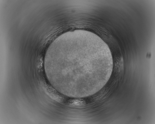 X0000115070555200911171132