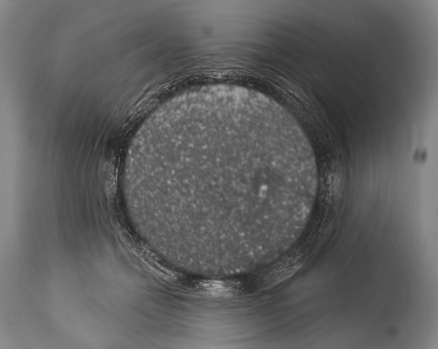 X0000115070558200911171132