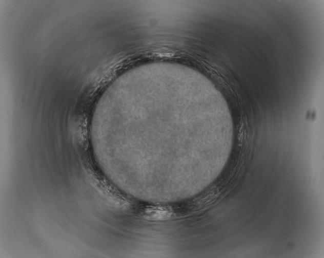 X0000115070559200911171132