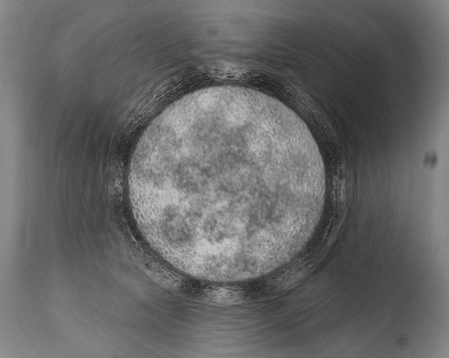 X0000115070561200911171132