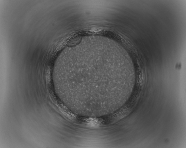 X0000115070562200911171133