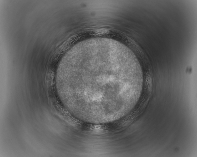 X0000115070565200911171133