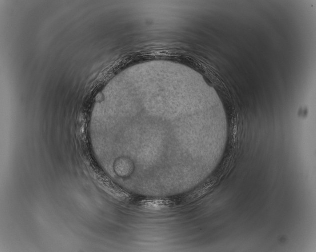 X0000115070567200911171133