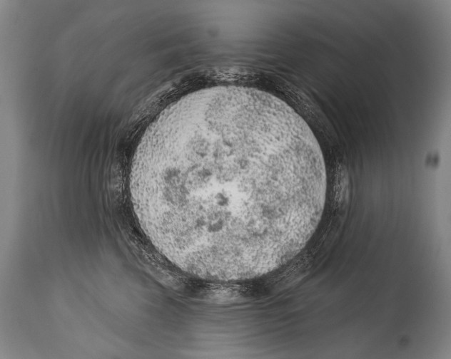 X0000115070569200911171133