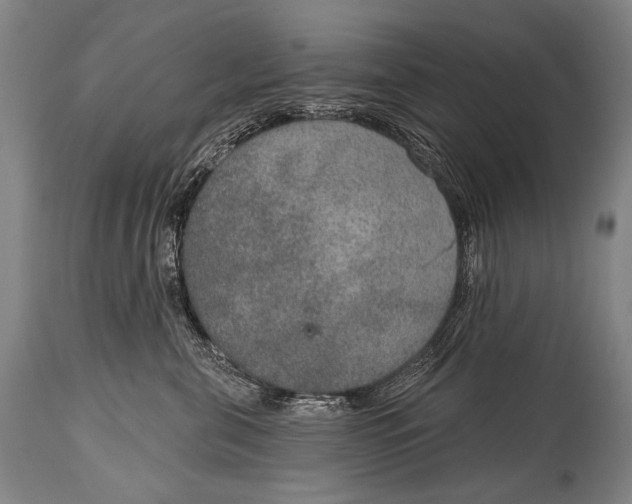 X0000115070571200911171133