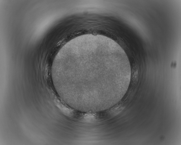 X0000115070574200911171133