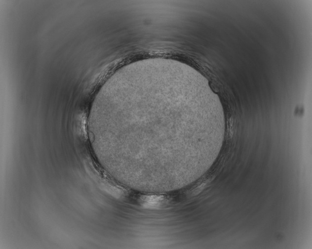 X0000115070575200911171133