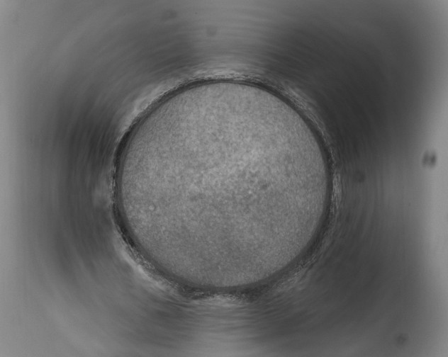 X0000115070578200911171132