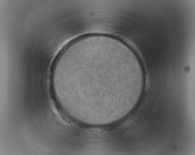 X0000115070580200911171132