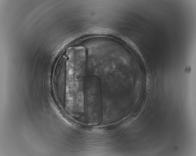 X0000115070581200911171132