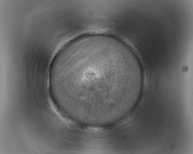 X0000115070582200911171132