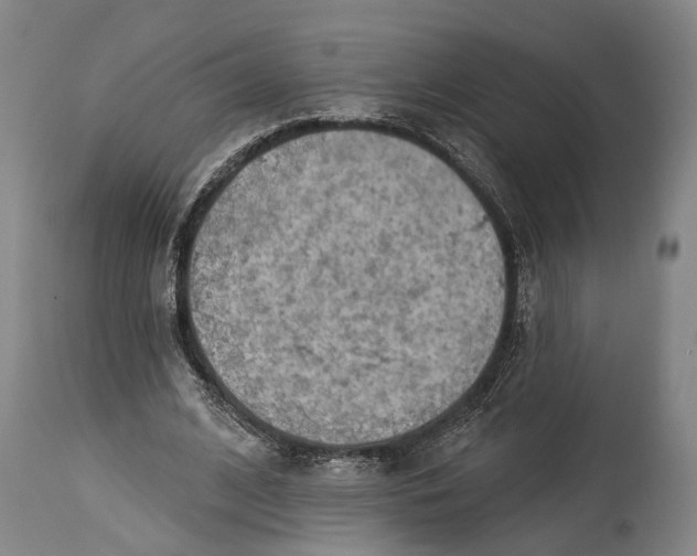 X0000115070584200911171132