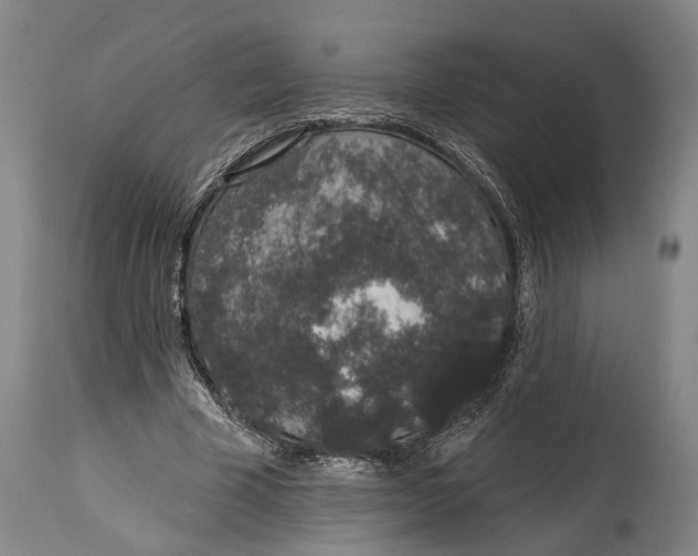 X0000115070585200911171132