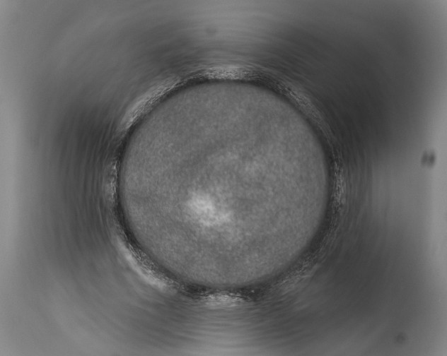 X0000115070586200911171132
