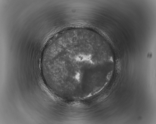 X0000115070589200911171132