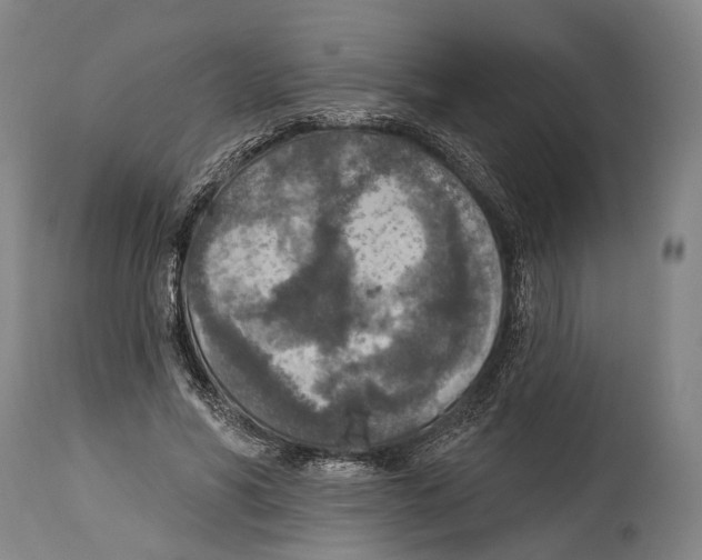 X0000115070590200911171132