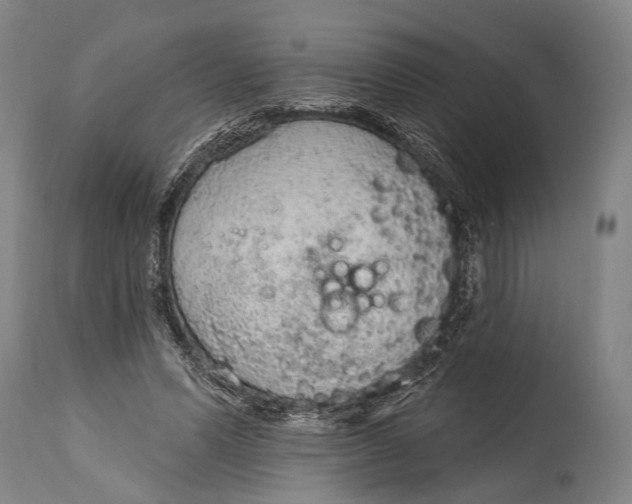 X0000115070591200911171132