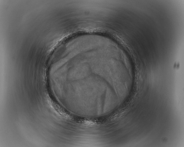 X0000115070592200911171132