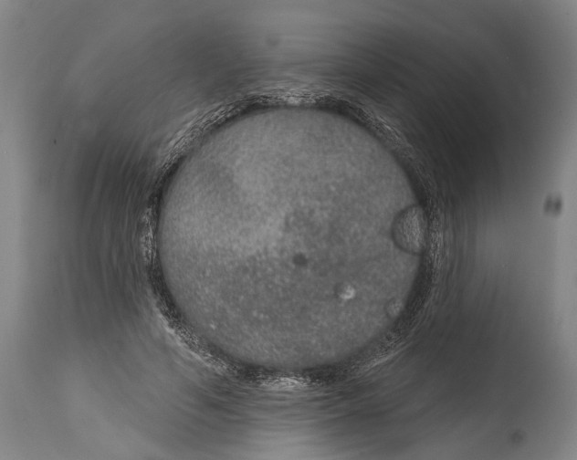 X0000115070594200911171132