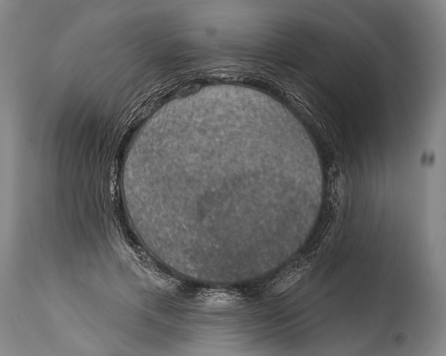 X0000115070597200911171132
