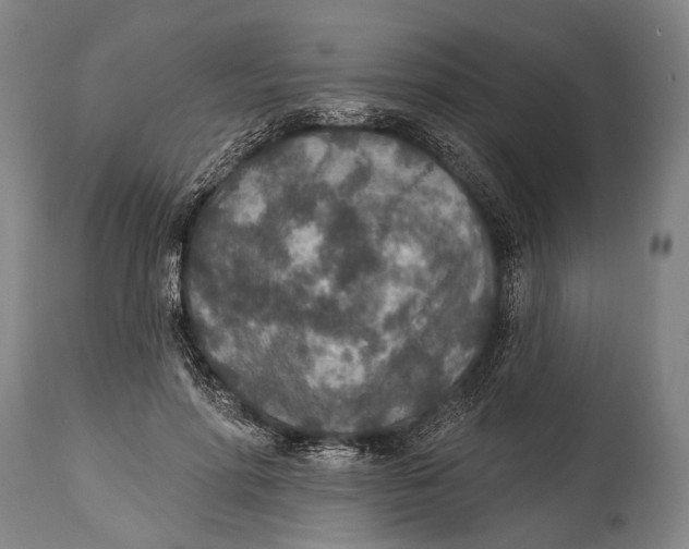 X0000115070598200911171132