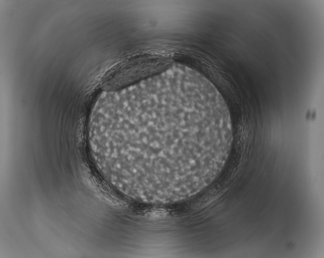 X0000115070600200911171132